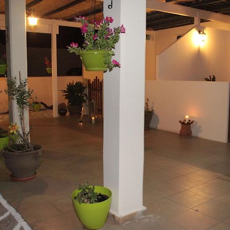 Elounda Olive Garden Apts & Studios Esterno foto