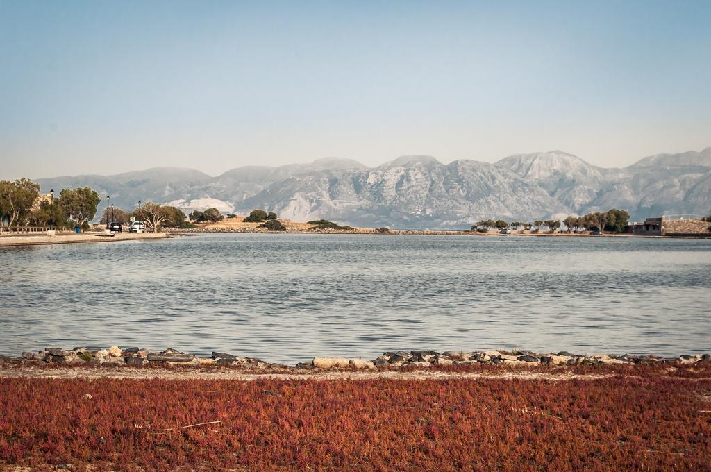 Elounda Olive Garden Apts & Studios Esterno foto