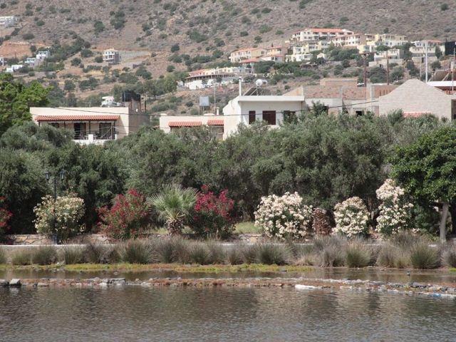 Elounda Olive Garden Apts & Studios Esterno foto