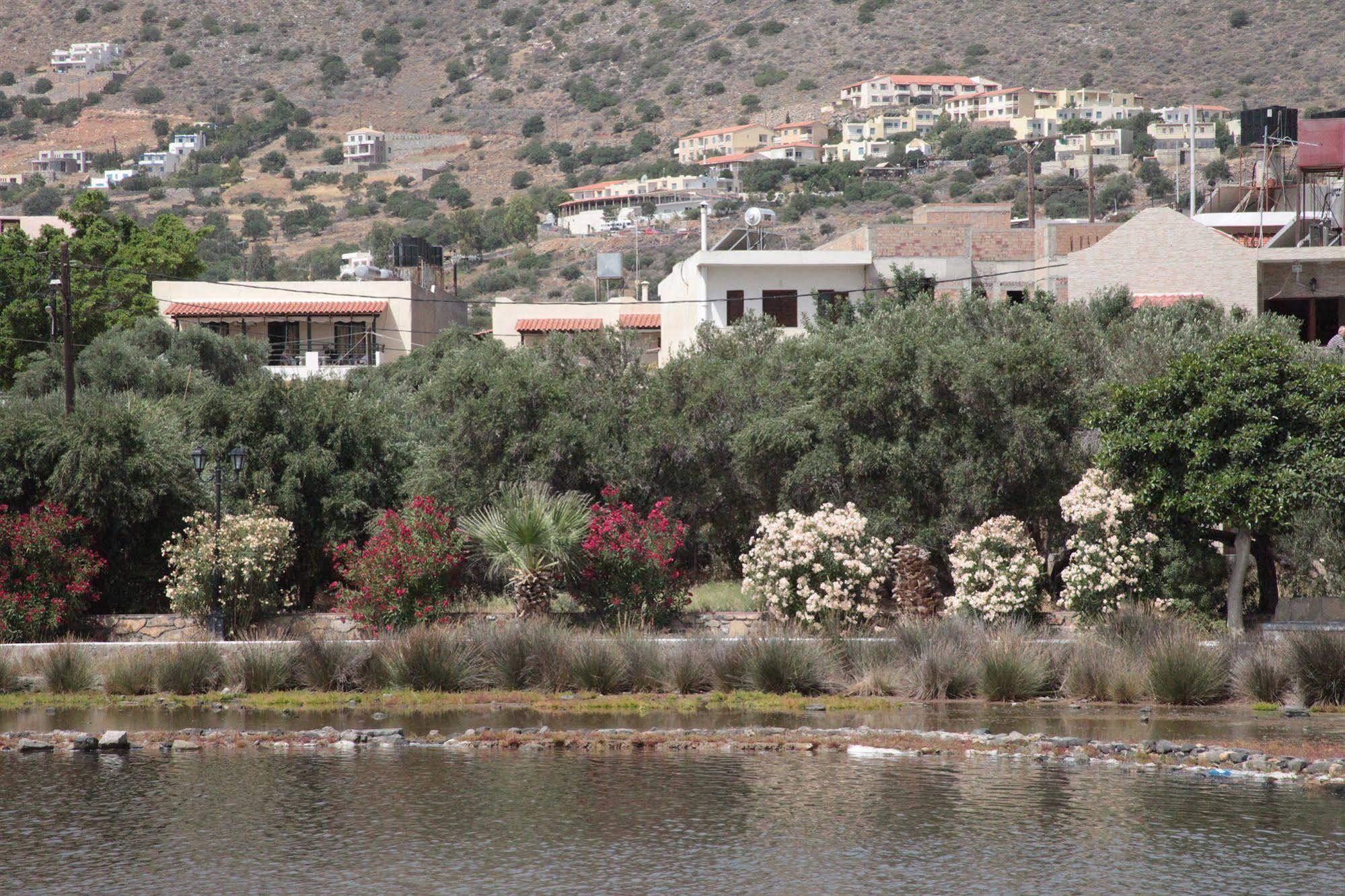 Elounda Olive Garden Apts & Studios Esterno foto