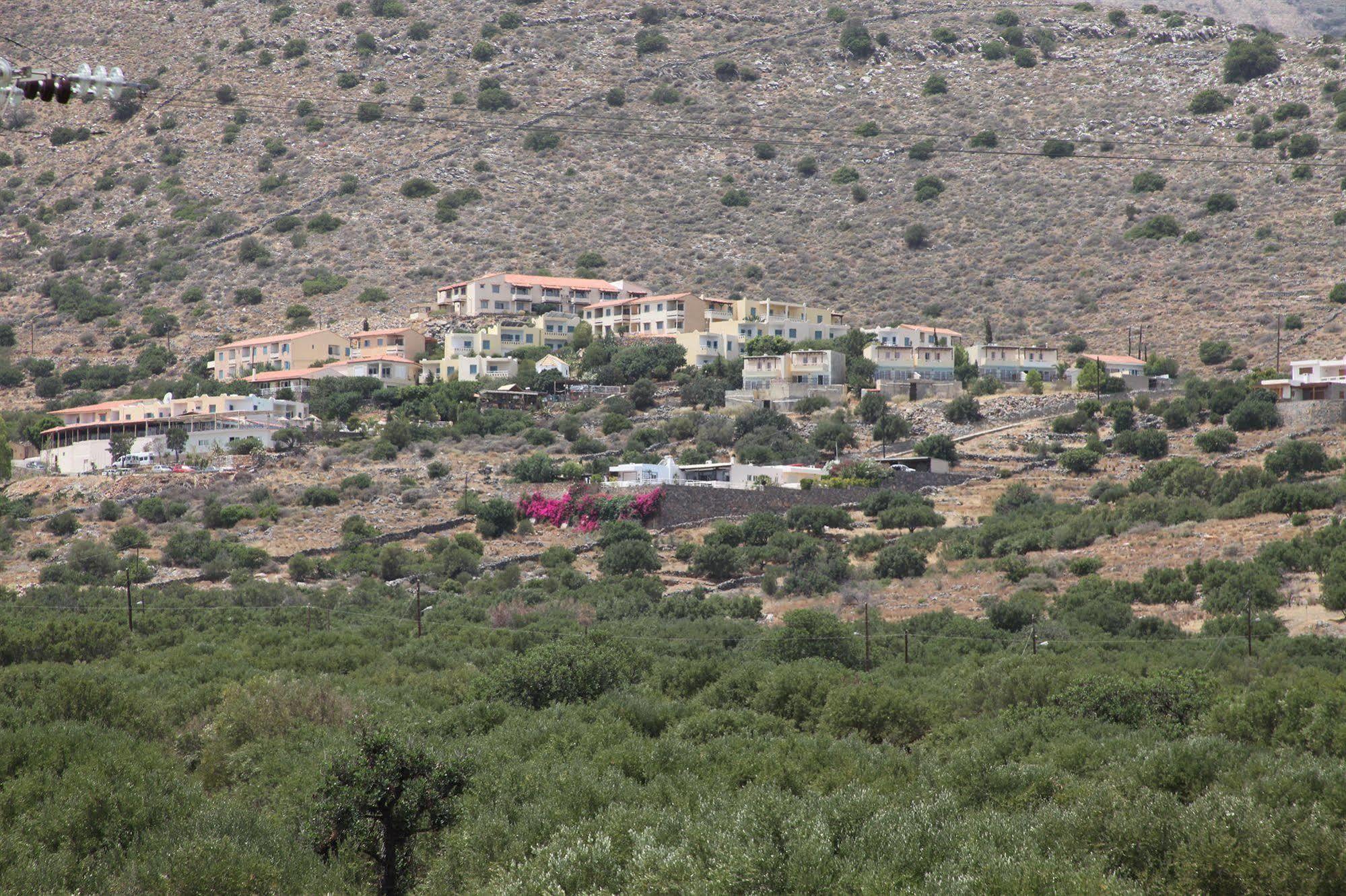 Elounda Olive Garden Apts & Studios Esterno foto